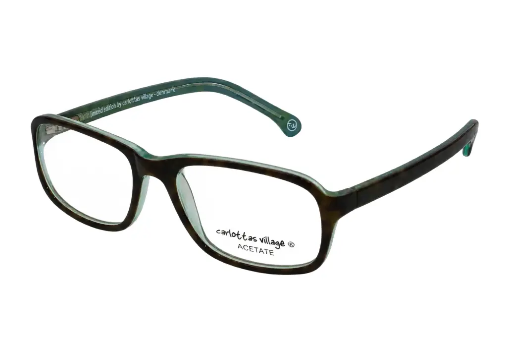 Limited Edition 54-19 Tortoise/Mint
