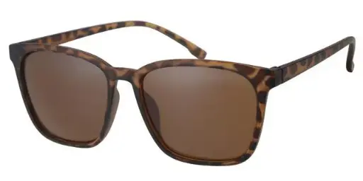 [404307-40439] [404307-40439] Klassisk leopard solbrille med brune glas