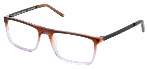 [CURTIS_C5] CV 53-18 132 Brown/Purple gradient